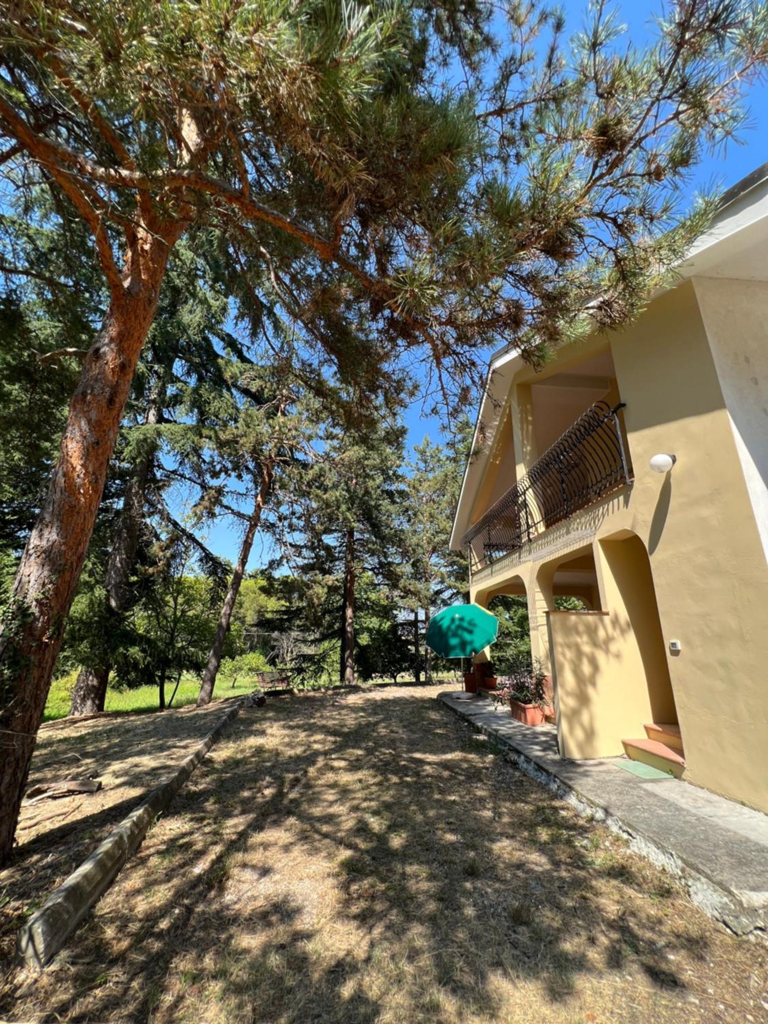 Majella Green House Roccamontepiano Bagian luar foto
